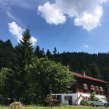 Gatterl Zum See Reit im Winkl Zewnętrze zdjęcie