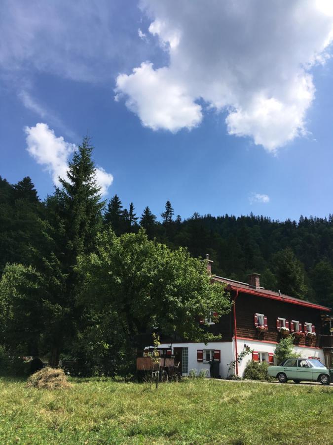Gatterl Zum See Reit im Winkl Zewnętrze zdjęcie