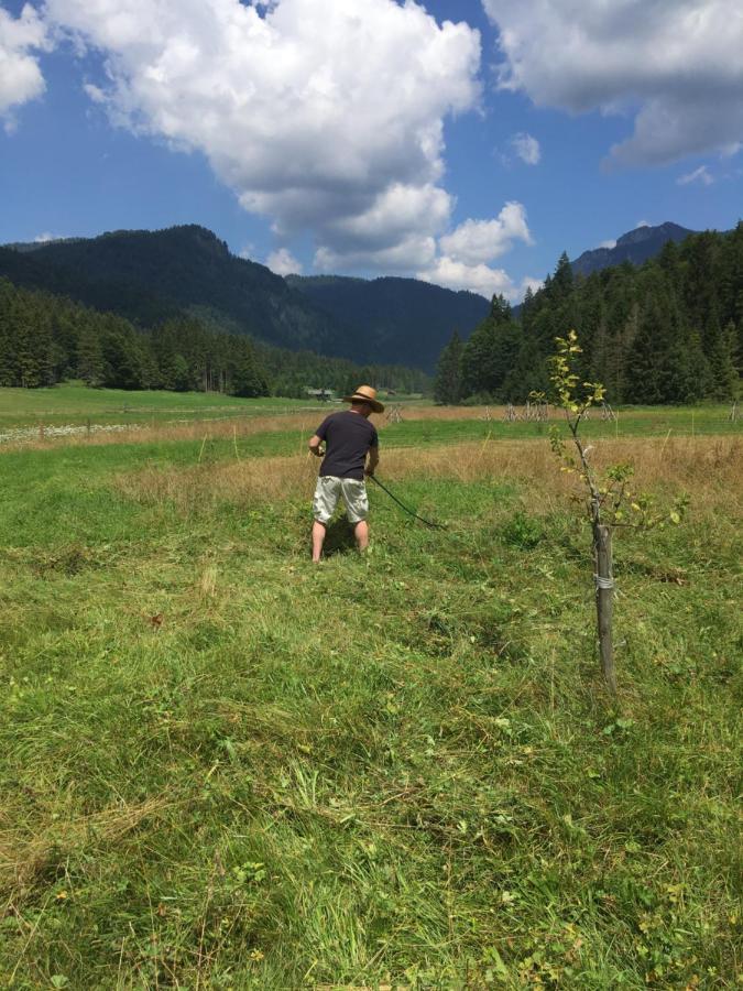 Gatterl Zum See Reit im Winkl Zewnętrze zdjęcie