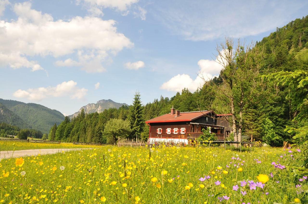 Gatterl Zum See Reit im Winkl Zewnętrze zdjęcie