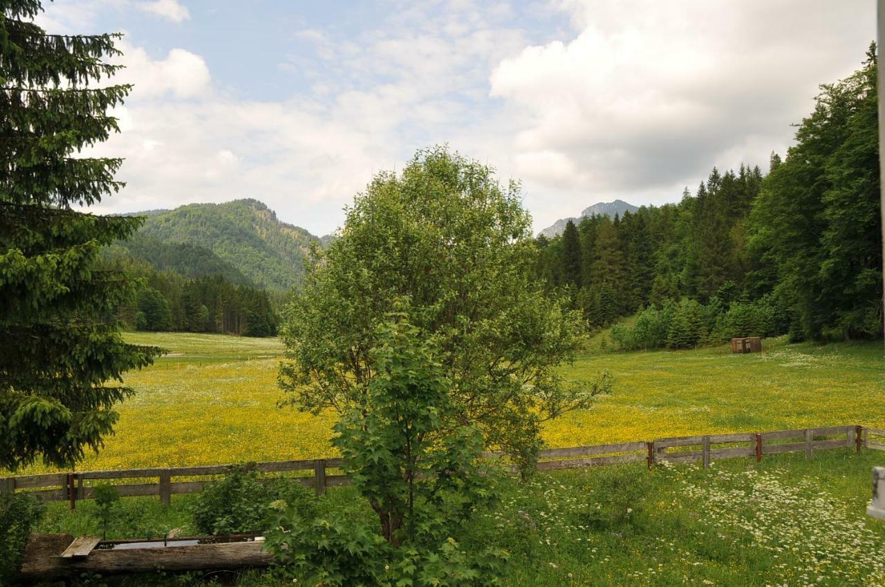 Gatterl Zum See Reit im Winkl Zewnętrze zdjęcie