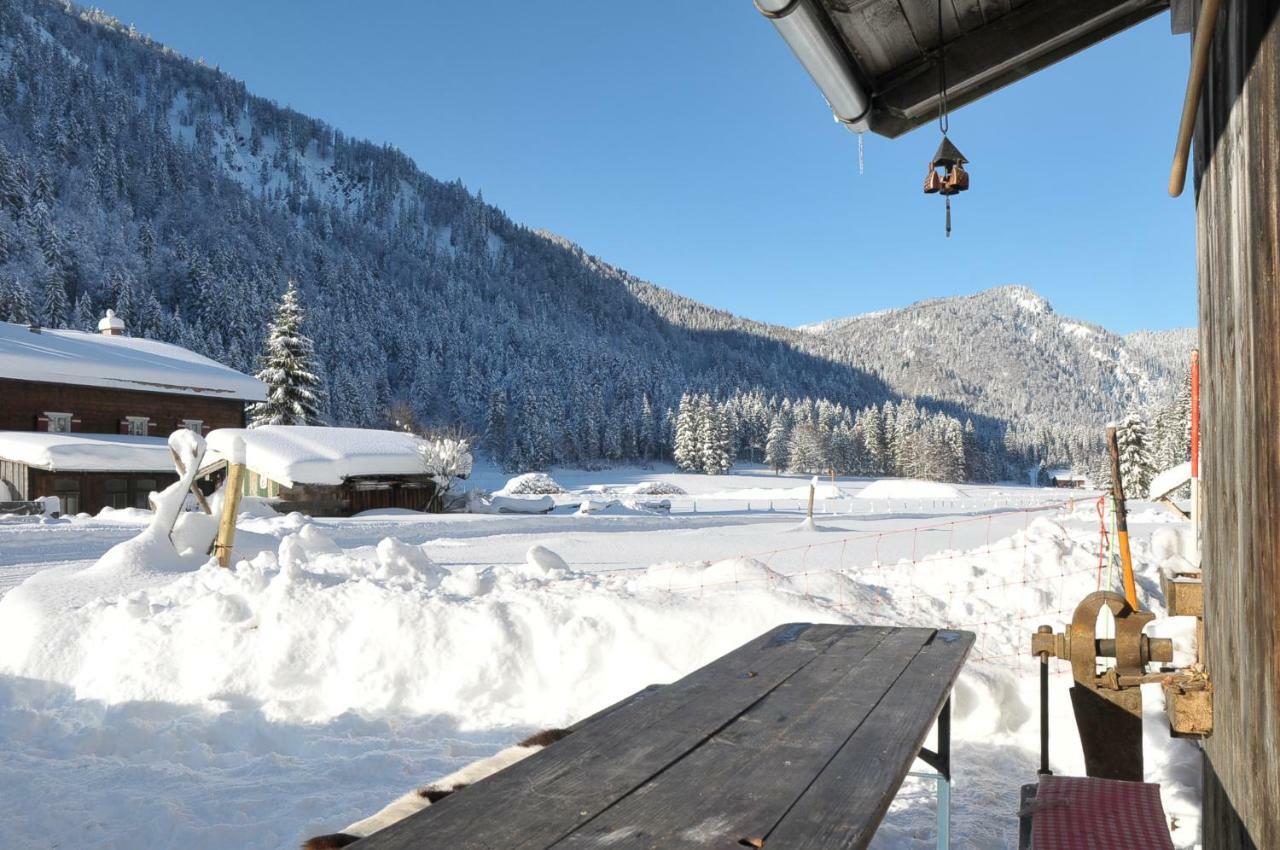 Gatterl Zum See Reit im Winkl Zewnętrze zdjęcie