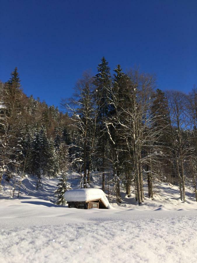 Gatterl Zum See Reit im Winkl Zewnętrze zdjęcie